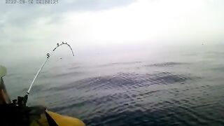 Остров Русский: морская акватория и ловля камбалы с экипажем