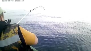 Остров Русский: морская акватория и ловля камбалы с экипажем