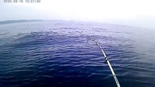 Остров Русский: морская акватория и ловля камбалы с экипажем