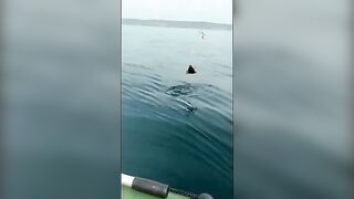 Остров Русский: морская акватория и ловля камбалы с экипажем