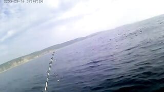 Остров Русский: морская акватория и ловля камбалы с экипажем