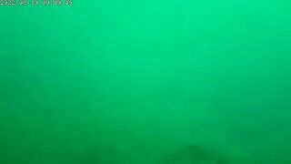 Остров Русский: морская акватория и ловля камбалы с экипажем