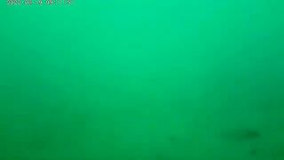 Остров Русский: морская акватория и ловля камбалы с экипажем