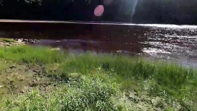 Рыболовный маршрут по рекам Литл-Баффало и Хей в Канаде