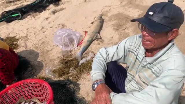 Утренний невод в Ниньчу и крупная морская рыба за двести тысяч донгов