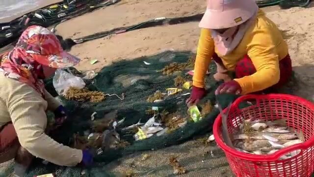 Утренний невод в Ниньчу и крупная морская рыба за двести тысяч донгов