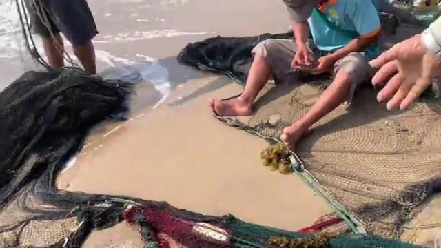 Утренний невод в Ниньчу и крупная морская рыба за двести тысяч донгов