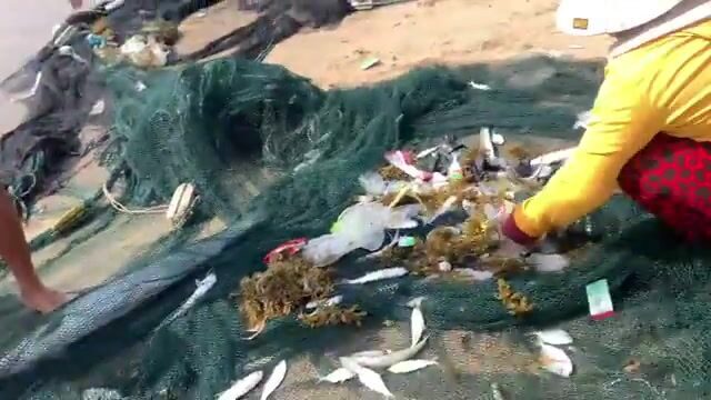 Утренний невод в Ниньчу и крупная морская рыба за двести тысяч донгов