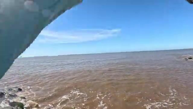 Первый выезд в Монтевидео на Рио-де-ла-Плата со свежей креветкой