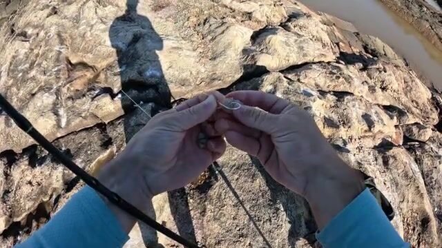 Первый выезд в Монтевидео на Рио-де-ла-Плата со свежей креветкой