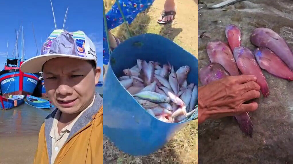 Утренний берег в Туихоа, где торговки ждут ночной улов с малых лодок