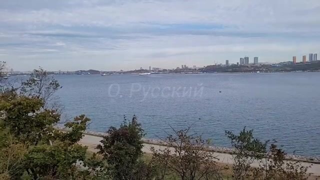 Береговая рыбалка под мостом на острове Русский закончилась морской звездой