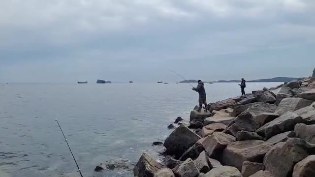 Береговая рыбалка под мостом на острове Русский закончилась морской звездой