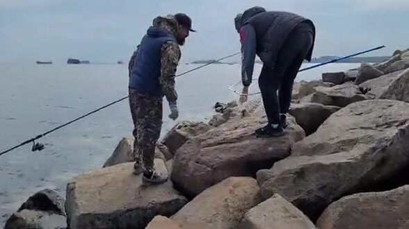 Береговая рыбалка под мостом на острове Русский закончилась морской звездой