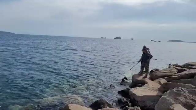 Береговая рыбалка под мостом на острове Русский закончилась морской звездой