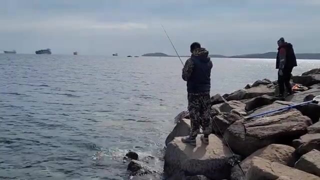 Береговая рыбалка под мостом на острове Русский закончилась морской звездой