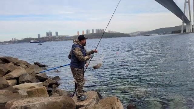 Береговая рыбалка под мостом на острове Русский закончилась морской звездой