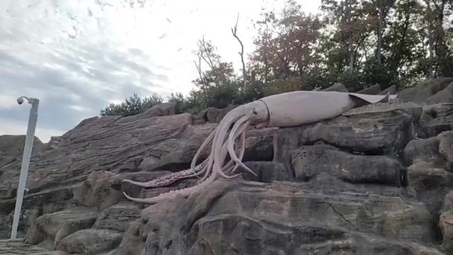 Береговая рыбалка под мостом на острове Русский закончилась морской звездой