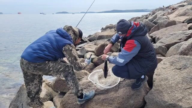 Береговая рыбалка под мостом на острове Русский закончилась морской звездой