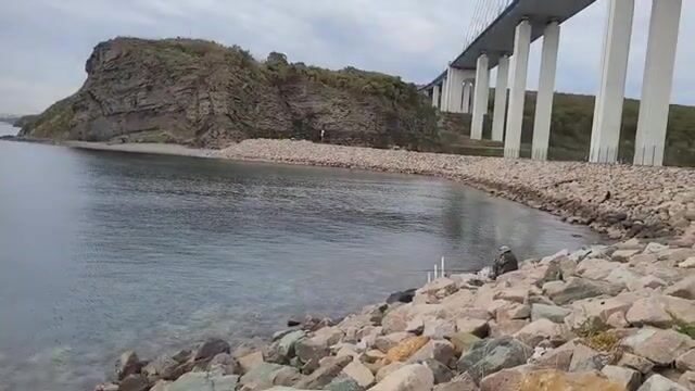Береговая рыбалка под мостом на острове Русский закончилась морской звездой