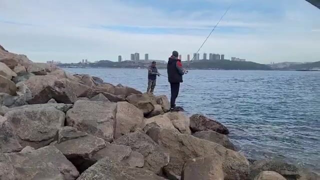 Береговая рыбалка под мостом на острове Русский закончилась морской звездой