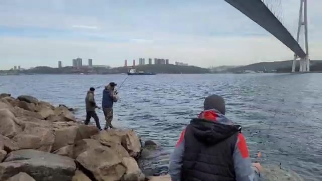 Береговая рыбалка под мостом на острове Русский закончилась морской звездой