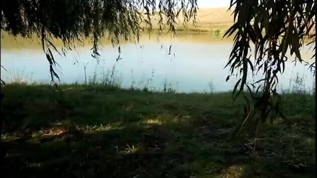 В Румынии вываживали крупную белугу на платном водоеме