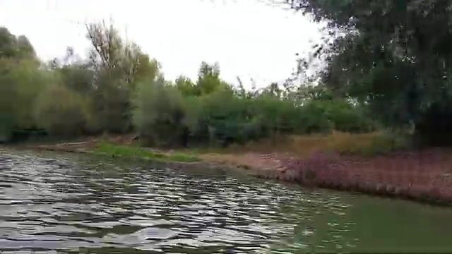 Застряли на канале Пападия Веке в дельте Дуная и перешли на Архипенко, Румыния