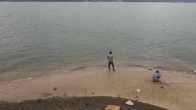 Собирали улиток и ловили крабов на берегу Туанчау