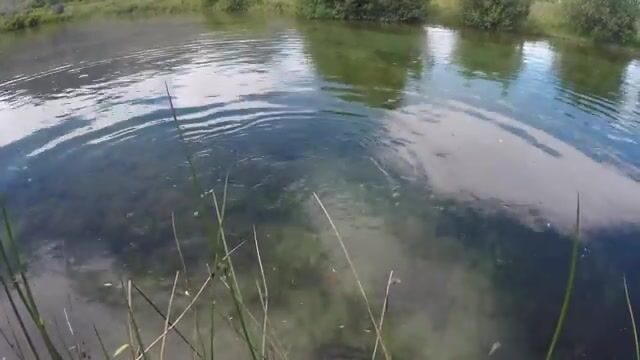 Нахлыст в бассейне Маккензи с Дейвом Метцем