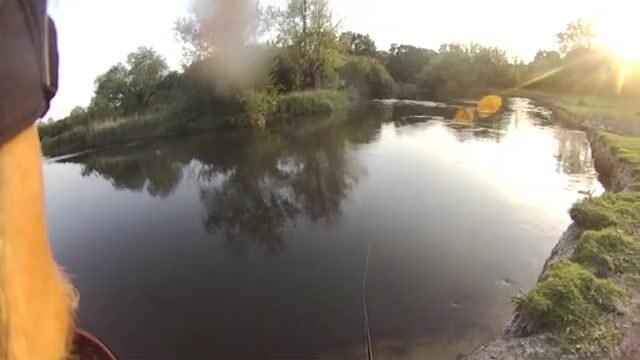 На Эйвоне вместо лосося желтая вертушка подняла щуку