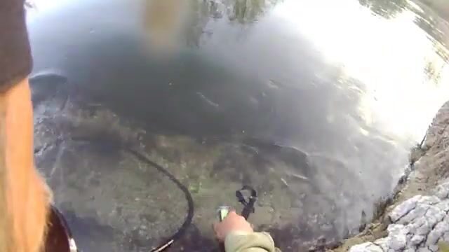 На Эйвоне вместо лосося желтая вертушка подняла щуку