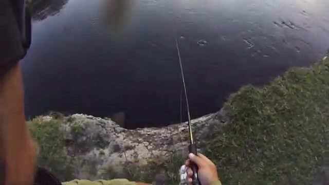 На Эйвоне вместо лосося желтая вертушка подняла щуку