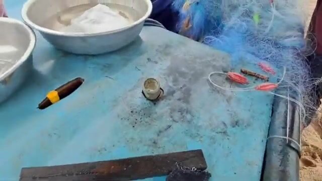Живые креветки и кефаль в улове у Хотрама