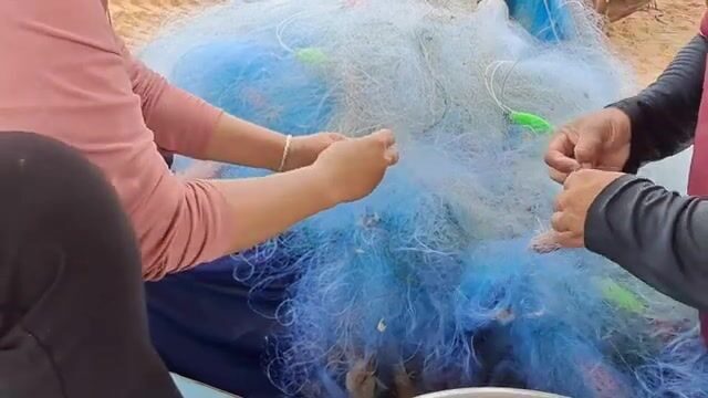 Живые креветки и кефаль в улове у Хотрама