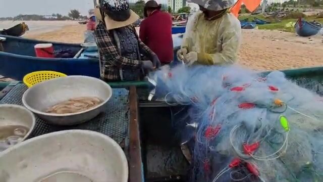 Живые креветки и кефаль в улове у Хотрама