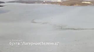 Остров Русский зимой: разговор о льде и организация выезда