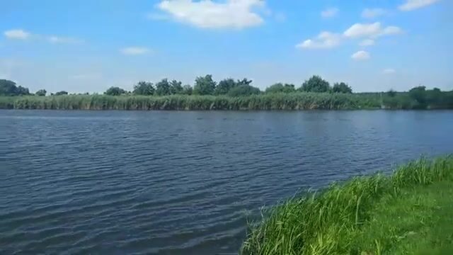 Открытый берег в Сербии и караси на несколько удочек