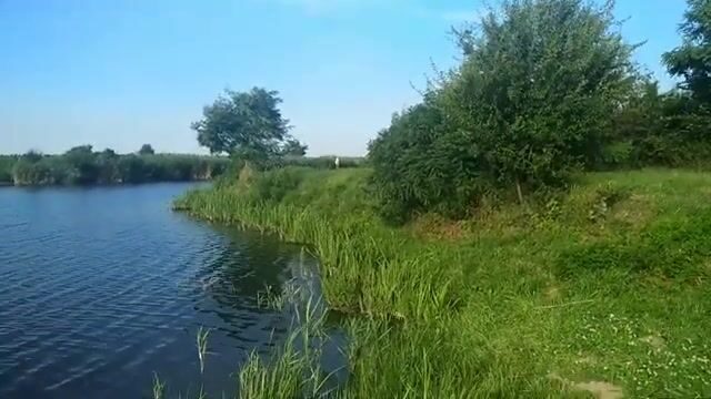 Открытый берег в Сербии и караси на несколько удочек