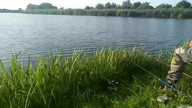 Открытый берег в Сербии и караси на несколько удочек