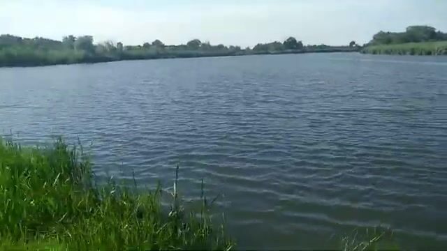 Открытый берег в Сербии и караси на несколько удочек