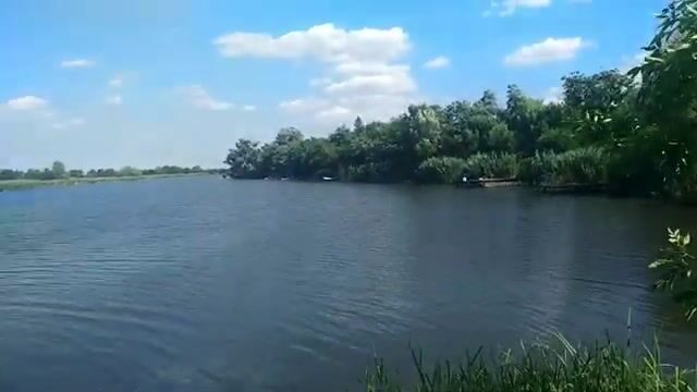 Открытый берег в Сербии и караси на несколько удочек