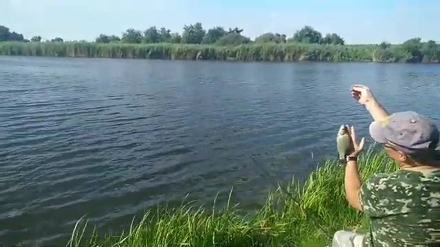 Открытый берег в Сербии и караси на несколько удочек