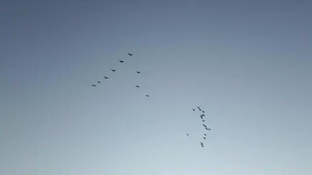 В конце декабря перешли на мелкую сторону пристани в Поти и наловили бычков