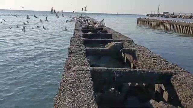 В конце декабря перешли на мелкую сторону пристани в Поти и наловили бычков