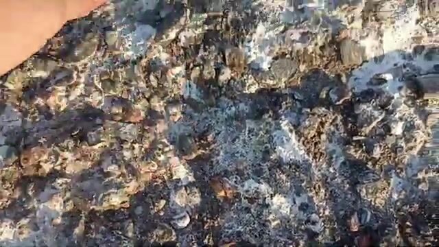 В конце декабря перешли на мелкую сторону пристани в Поти и наловили бычков