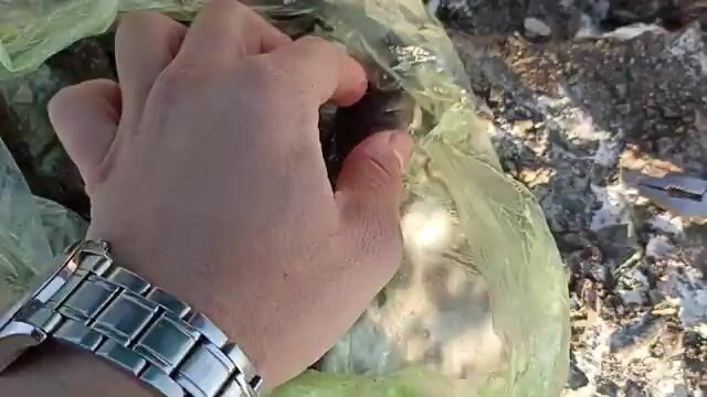 В конце декабря перешли на мелкую сторону пристани в Поти и наловили бычков