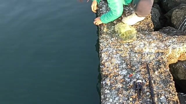 В конце декабря перешли на мелкую сторону пристани в Поти и наловили бычков