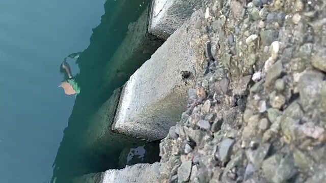 В конце декабря перешли на мелкую сторону пристани в Поти и наловили бычков