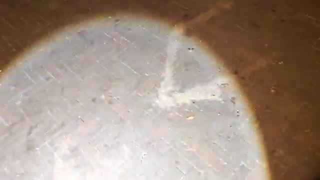 Ночной проход по мосту у залива Шэньчжэнь и разговор о наживке